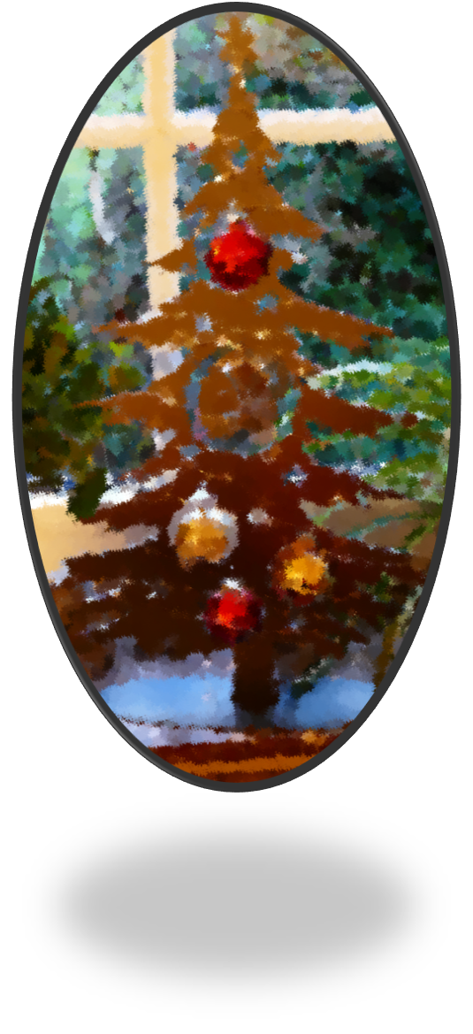 Bild5